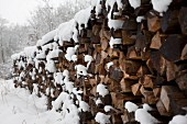 Mit Schnee bedeckter Brennholzstapel
