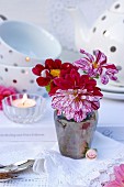 Vase mit zweifarbigen Dahlienblüten (Bicolor) auf Spitzendecken und Teegeschirr im Hintergrund