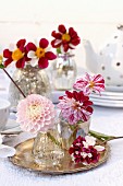 Tischdeko mit Dahlienblüten (Bicolor) auf Silbertablett und Vasen aus Bauernsilber