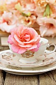Rose in vintage teacup on saucer and plate and salmon-pink gladioli in background