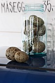 Gulls' eggs in storage jar