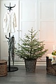 Coat rack, Christmas tree in zinc pot and trunk covered in animal-skin rug in front of wardrobe