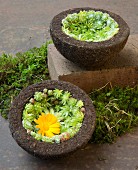 Semicircular bowls planted with succulents