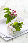 Apple blossom on pink cloth on white wooden surface