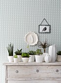 Green plants in white ceramic containers on a whitewashed chest of drawers against green and white patterned wallpaper