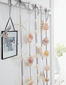 Seashells stuck on ribbons and hung from hooks