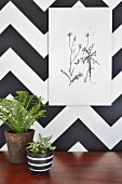 Botanical illustration on wall covered in black and white geometric pattern above potted house plants