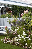 Flowerbed of dahlias and cosmos in front of white bench and garden bench