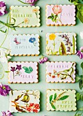 Butterkekse mit Blumen und Schmetterling-Motiven verziert