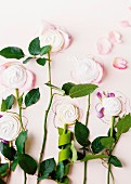 Flower stalks with marshmallow flowers decorating wall