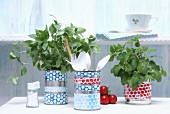 Decorated tin cans holding kitchen utensils and herbs