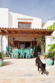 Turquoise peacock armchairs on Finca terrace with dog in foreground