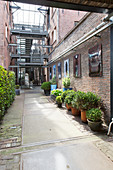 Planters on paved path running between brick façades of former, converted warehouses