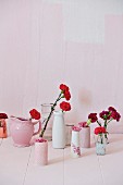 Red carnations in various vases against pink background
