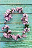 Wreath of pink cherry blossom on wooden wall