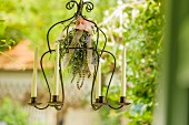 Suspended candle chandelier decorated with herb bouquet