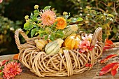Autumnal arrangement of dahlias and ornamental gourds in basket on garden table