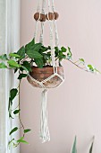 Macrame plant hanger against pink wall