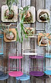 Staghorn ferns and colourful side tables mounted on board wall