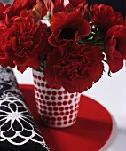 Red carnations in red and white spotted vase next to black and white fabric