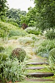 Wet stone steps in mature garden with ornamental grasses and shrubs