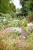 Gravel garden path with wooden steps leading through flowering herbaceous borders