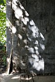 Schattenspiel auf graue Betonwand mit verwitterter Holzabdeckung am Boden