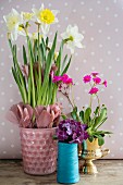 Narcissus and feathers in pink pot and pink and purple flowers in various containers