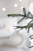 White Christmas baubles with white feature hanging from fir branche