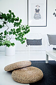 Ecru floor cushion and white metal chair with back and white patterned cushions next to potted tree in white interior