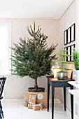 Undecorated Christmas tree in basket against patterned wallpaper