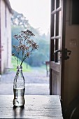 Flowers in cola bottle on wooden table