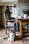 Cat sitting on floor next to wooden table against stone wall