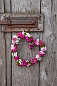 Heart-shaped wreath of sweet William hanging from rustic barn door