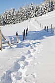 Verschneiter Weg mit Fußspuren zum Waldrand