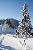 Verschneite Straße mit Hütte und Berglandschaft unter blauem Himmel