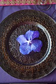Purple orchid bloom on ornate Indian charger plate