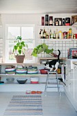 Can on barstool in front of fitted shelves below window in rustic kitchen