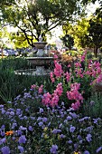 Fountain in flowering romantic garden