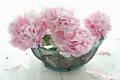 Peonies in a wire basket