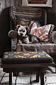 Small dog on wicker armchair with vintage cushions and tapestry stool