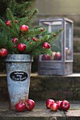 Fir branches decorated with red apples and red berries in vintage planter