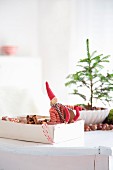 Christmas elf in box in front of small fir tree in bowl