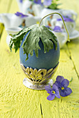 Dried delphinium leaf on top of Easter egg in egg cup