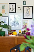Gallery of pictures above Jasper Morrison fruit bowl and house plant on retro sideboard