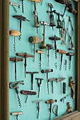 Collection of corkscrews on turquoise wall