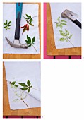 Instructions for printing fabric with fresh Virginia creeper leaves