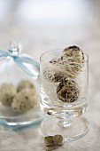 Quail's eggs under a glass cloche and in a glass with a ribbon