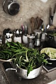 Leafy vegetables in metal colander in kitchen
