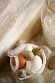 Hens' eggs, quail's eggs and feathers